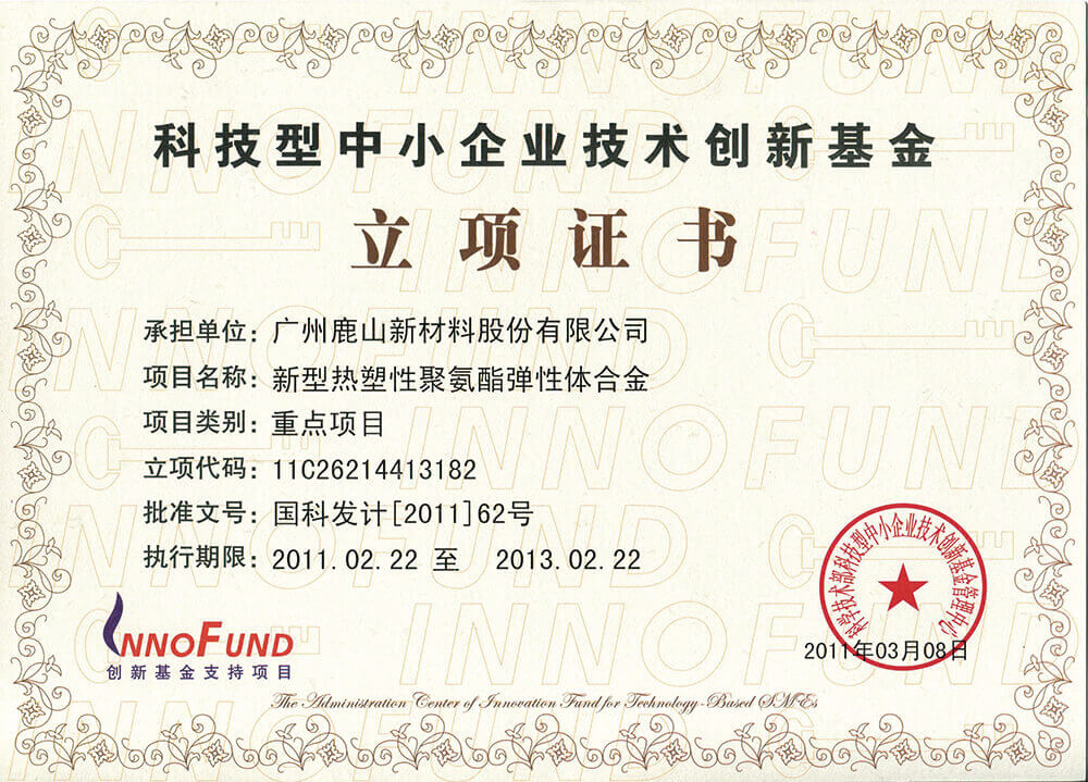 Guangdong patent award certificate